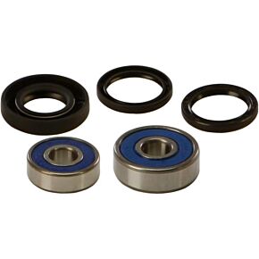 ALL BALLS Rear Wheel Bearing/seal Kit