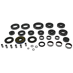ALL BALLS Trans Axle Bearing/seal Kit