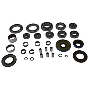 ALL BALLS Trans Axle Bearing/seal Kit