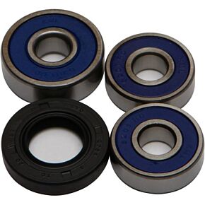 ALL BALLS Wheel Bearing Kit Rear