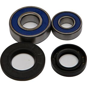 ALL BALLS Wheel Bearing Kit