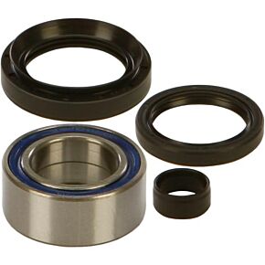 ALL BALLS Wheel Bearing Kit