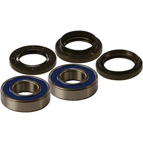 ALL BALLS Wheel Bearing Kit