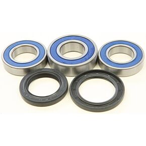 ALL BALLS Wheel Bearing Kit