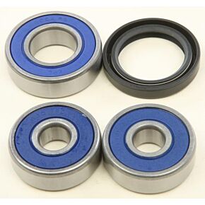 ALL BALLS Wheel Bearing Kit