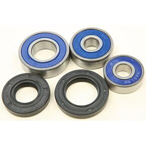 ALL BALLS Wheel Bearing Kit