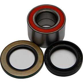 ALL BALLS Wheel Bearing Kit