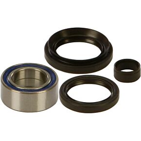 ALL BALLS Wheel Bearing & Seal Kit