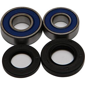ALL BALLS Wheel Bearing & Seal Kit