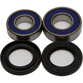 ALL BALLS Wheel Bearing & Seal Kit