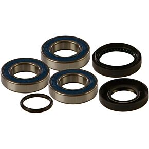 ALL BALLS Wheel Bearing & Seal Kit