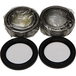 ALL BALLS Wheel Bearing & Seal Kit