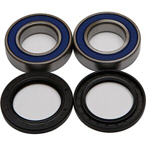 ALL BALLS Wheel Bearing & Seal Kit