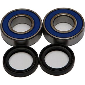ALL BALLS Wheel Bearing & Seal Kit