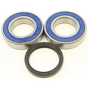 ALL BALLS Wheel Bearing & Seal Kit