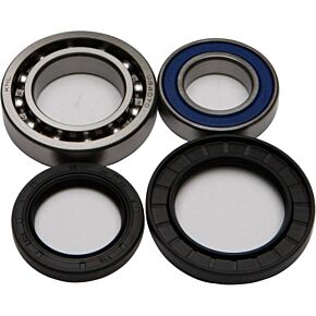 ALL BALLS Wheel Bearing & Seal Kit