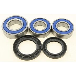 ALL BALLS Wheel Bearing & Seal Kit