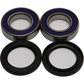 ALL BALLS Wheel Bearing & Seal Kit