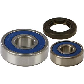ALL BALLS Wheel Bearing & Seal Kit