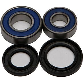 ALL BALLS Wheel Bearing & Seal Kit