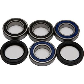 ALL BALLS Wheel Bearing & Seal Kit