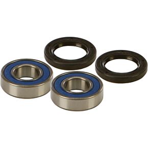 ALL BALLS Wheel Bearing & Seal Kit