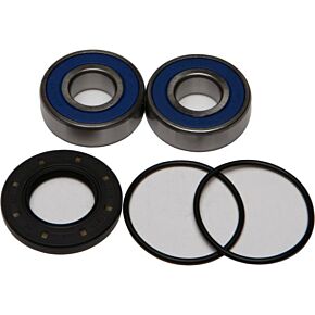 ALL BALLS Wheel Bearing & Seal Kit