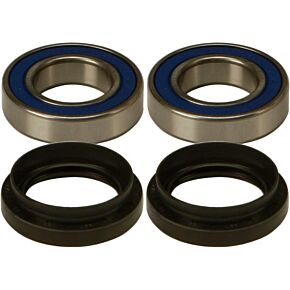ALL BALLS Wheel Bearing & Seal Kit