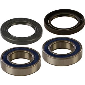 ALL BALLS Wheel Bearing & Seal Kit