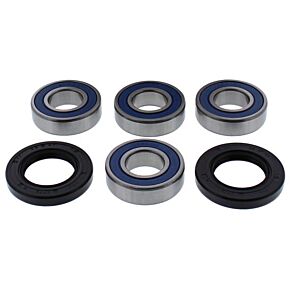 ALL BALLS Wheel Bearing & Seal Kit