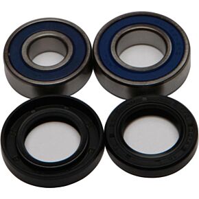 ALL BALLS Wheel Bearing & Seal Kit