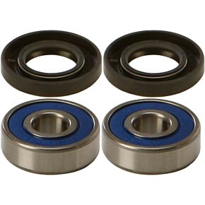 ALL BALLS Wheel Bearing & Seal Kit