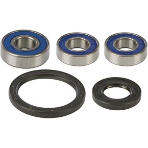 ALL BALLS Wheel Bearing & Seal Kit