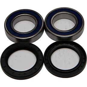 ALL BALLS Wheel Bearing & Seal Kit