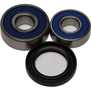 ALL BALLS Wheel Bearing & Seal Kit