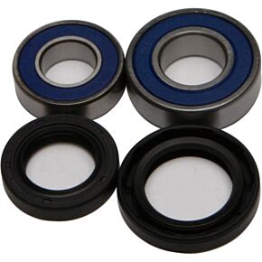 ALL BALLS Wheel Bearing & Seal Kit
