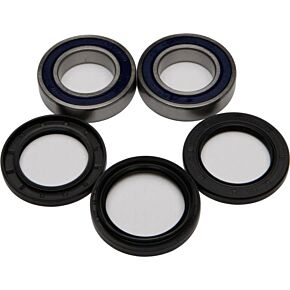 ALL BALLS Wheel Bearing & Seal Kit