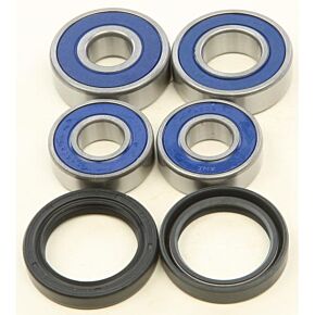ALL BALLS Wheel Bearing & Seal Kit