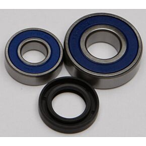 ALL BALLS Wheel Bearing & Seal Kit