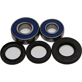 ALL BALLS Wheel Bearing & Seal Kit