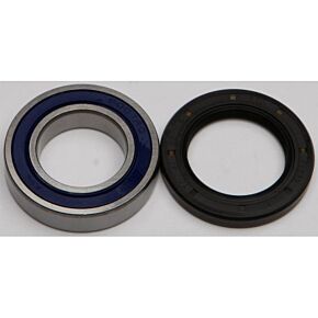 ALL BALLS Wheel Bearing & Seal Kit