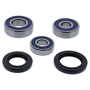 ALL BALLS Wheel Bearing & Seal Kit