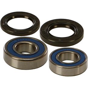 ALL BALLS Wheel Bearing & Seal Kit