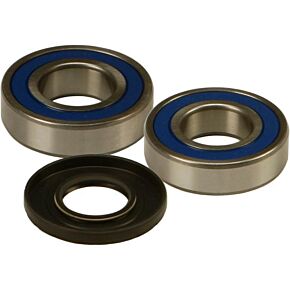 ALL BALLS Wheel Bearing & Seal Kit