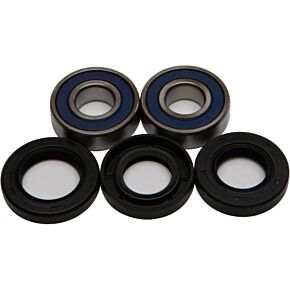 ALL BALLS Wheel Bearing & Seal Kit