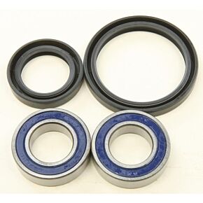 ALL BALLS Wheel Bearing & Seal Kit