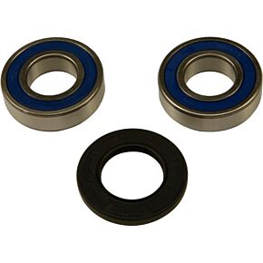 ALL BALLS Wheel Bearing & Seal Kit