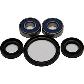 ALL BALLS Wheel Bearing & Seal Kit