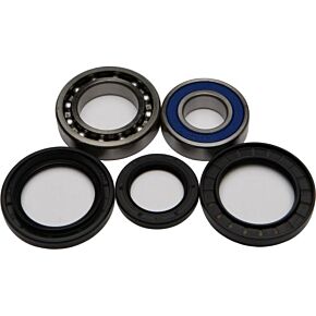 ALL BALLS Wheel Bearing & Seal Kit