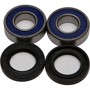 ALL BALLS Wheel Bearing & Seal Kit